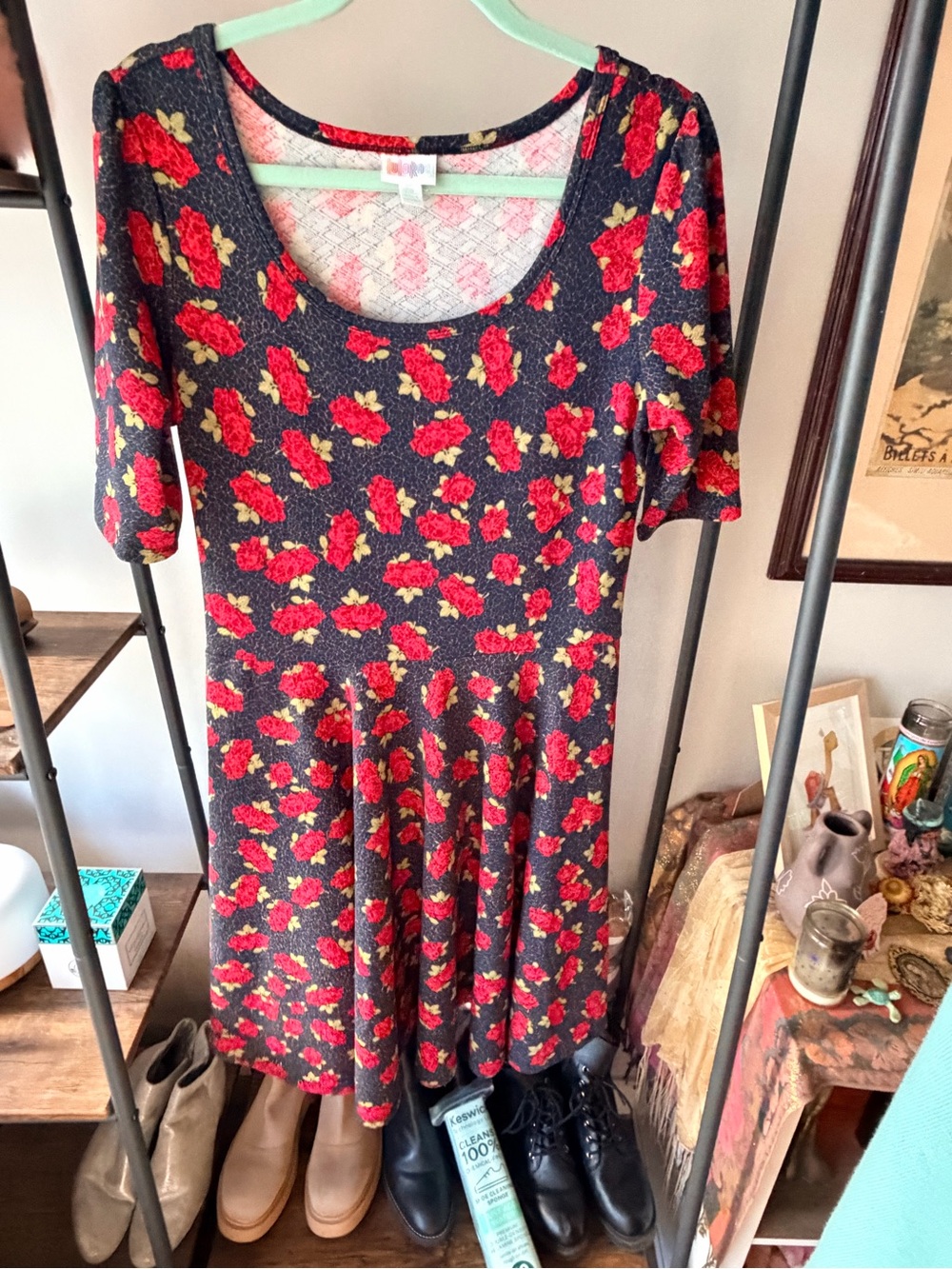 Women's Floral Scoop Neck Skater Dress - Red on Black